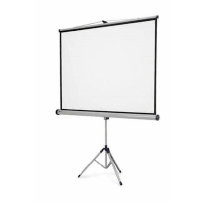 Slika Projekcijsko platno 200x200 prenosno