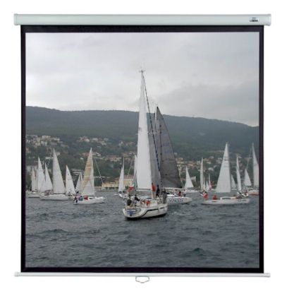 Slika Projekcijsko platno 200x200 ST