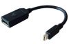 Slika Adapter HP MiniDisplayPort na DisplayPort