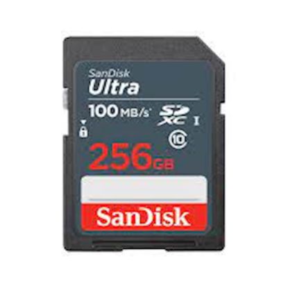 Slika SDXC SanDisk 256GB Ultra, 100MB/s