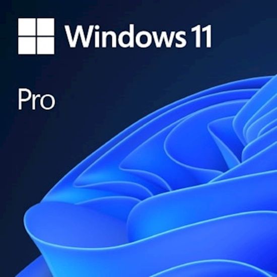 Slika DSP Windows 11 Professional 64bit, slovenski