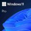 Slika DSP Windows 11 Professional 64bit, slovenski