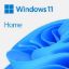 Slika DSP Windows 11 Home 64bit, angleški