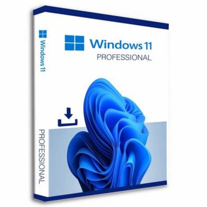 Slika FPP Windows PRO 11, 32/64bit, slovenski jezik