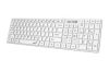 Slika Tipkovnica Genius Slimstar 126 USB bela