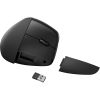 Slika Miška HP 925 ergonomska pokončna